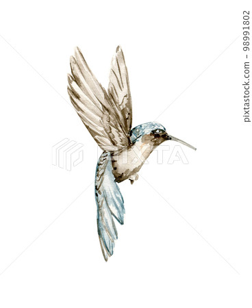 Watercolor set of hand drawn blue ummingbird. Hand-drawn with watercolour on a white isolated background. Perfect for wedding invitation, greetings card, posters, party decor. Watercolor set of hand drawn blue ummingbird. Hand-drawn with watercolour on a white isolated background. Perfect for wedding invitation, greetings card, posters, party decor. 98991802