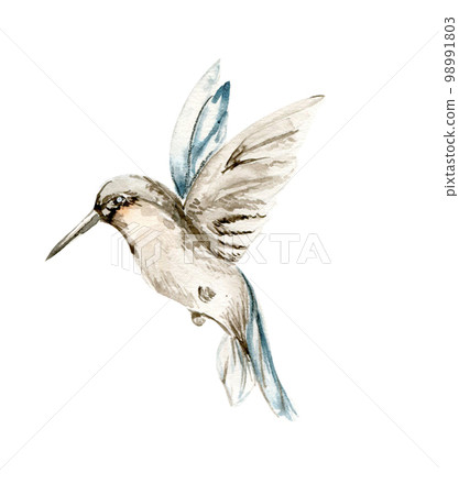 Watercolor set of hand drawn blue ummingbird. Hand-drawn with watercolour on a white isolated background. Perfect for wedding invitation, greetings card, posters, party decor. Watercolor set of hand drawn blue ummingbird. Hand-drawn with watercolour on a white isolated background. Perfect for wedding invitation, greetings card, posters, party decor. 98991803