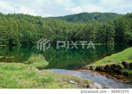 Nagano Prefecture Summer (August) Chino City Mishaka Pond 98991974