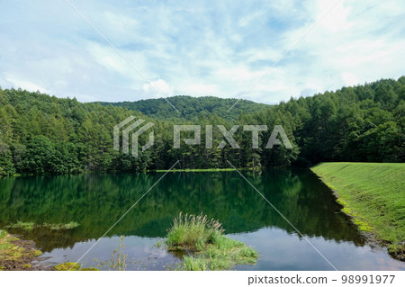 Nagano Prefecture Summer (August) Chino City Mishaka Pond 98991977