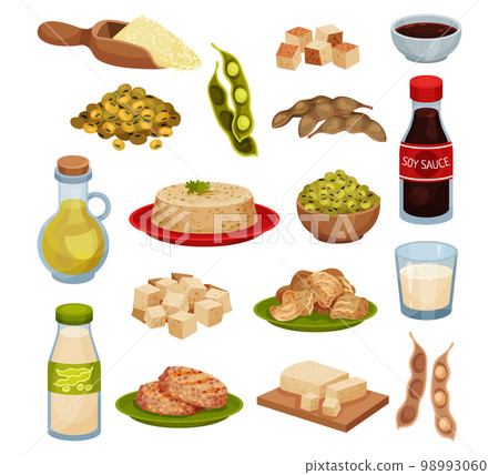 Soy bean products set. Tofu cheese, milk, soybean, tempeh, miso, oil. Vegan protein meal for healthy diet cartoon vector Soy bean products set. Tofu cheese, milk, soybean, tempeh, miso, oil. Vegan protein meal for healthy diet cartoon vector 98993060