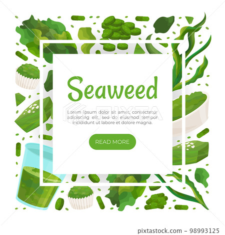 Seaweed Spirulina Banner Design with Green Superfood Vector Template 98993125