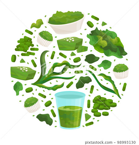 Seaweed Spirulina Round Composition Design with Green Superfood Vector Template 98993130