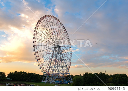 江戶川區，東京葛西臨海公園摩天輪在黃昏 98993143
