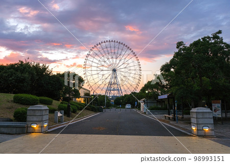 江戶川區,東京葛西臨海公園摩天輪在黃昏 江戶川區,東京葛西臨海公園摩天輪在黃昏 98993151