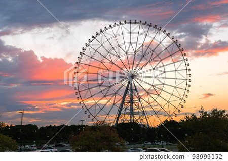江戶川區,東京葛西臨海公園摩天輪在黃昏 江戶川區,東京葛西臨海公園摩天輪在黃昏 98993152