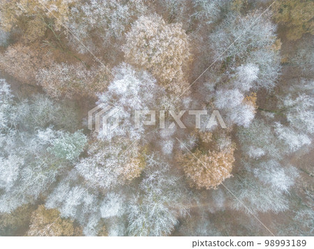 Aerial view or top view of winter forest, pine tree with snow covered. Winter background shot by a Aerial view or top view of winter forest, pine tree with snow covered. Winter background shot by a 98993189