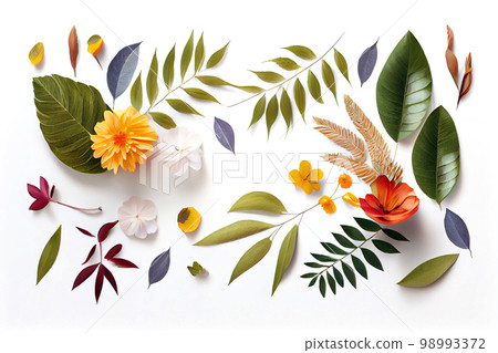 Composition of flowers. Frame pattern made from different dried flowers and leaves on white background. Flat lay, top view, copy space 98993372