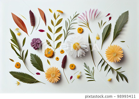 Composition of flowers. Frame pattern made from different dried flowers and leaves on white background. Flat lay, top view, copy space 98993411