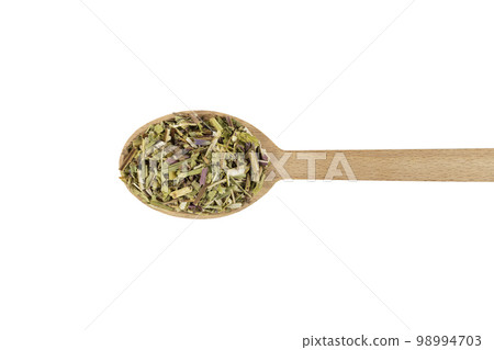 Catnip herb in latin - Nepeta cataria on wooden spoon isolated on white background. Medicinal herb. 98994703