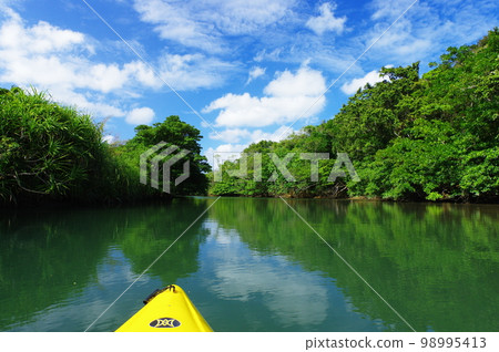 Kayaking on the river in Iriomote Island, Okinawa Prefecture Kayaking on the river in Iriomote Island, Okinawa Prefecture 98995413