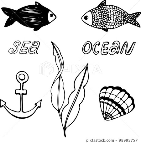 Set of vector illustrations of the underwater world in doodle style. Set of vector illustrations of the underwater world in doodle style. 98995757