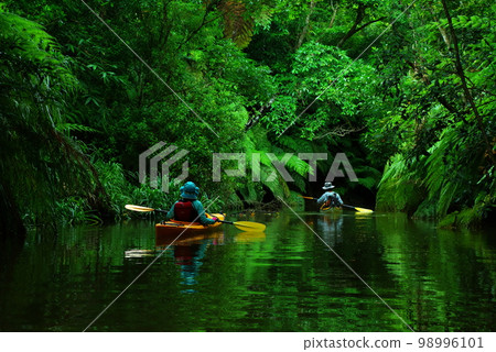 Kayaking on the Adanade River in Iriomote Island, Okinawa Prefecture 98996101