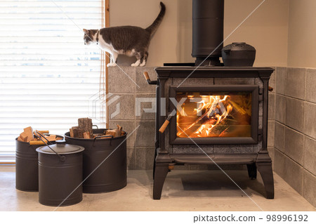 A wood-burning stove on the earthen floor, sometimes a cat 98996192