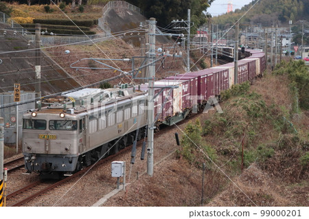 Freight train pulling EF81-303_2023/1/16 99000201