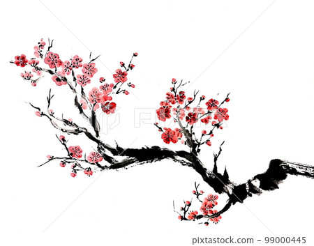 Plum blossom  99000445