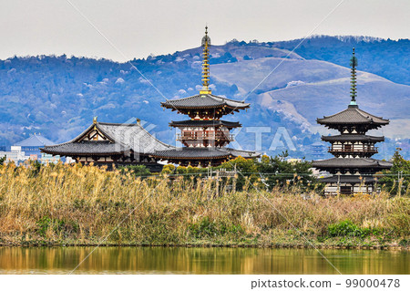 View of Mt. Wakakusa with cherry blossoms from Yakushiji Temple 99000478