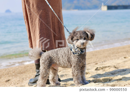 帶著玩具貴賓犬在瀨戶內海跳島的少女之旅 帶著玩具貴賓犬在瀨戶內海跳島的少女之旅 99000550