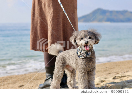 帶著玩具貴賓犬在瀨戶內海跳島的少女之旅 99000551