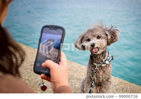 帶著玩具貴賓犬在瀨戶內海跳島的少女之旅 帶著玩具貴賓犬在瀨戶內海跳島的少女之旅 99000716