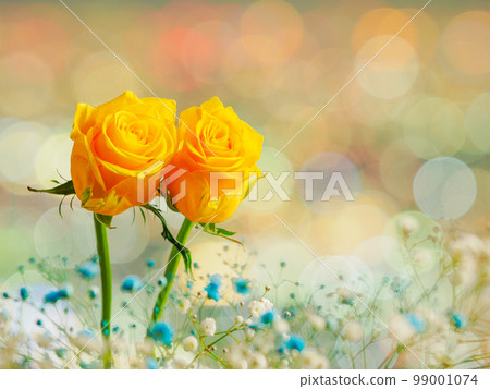 The glow of the night view of Osaka and two yellow roses 99001074