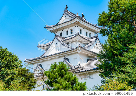 岐阜縣大垣城～天守～ 99001499