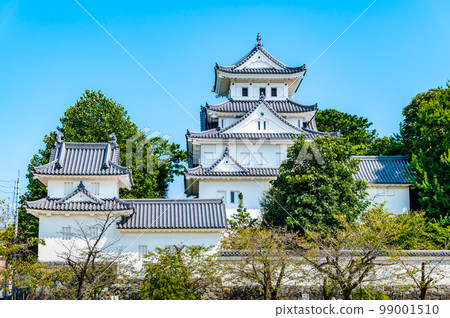 Gifu Prefecture, Ogaki Castle ~ Tenshu ~ Gifu Prefecture, Ogaki Castle ~ Tenshu ~ 99001510