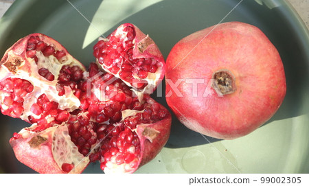 加州石榴 99002305