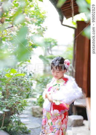 Kimono furisode female coming-of-age ceremony Kimono furisode female coming-of-age ceremony 99002829