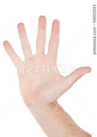 Closeup hand, palm and high five by white background with sign language, communication and stop warning. Isolated hand sign, wave and hello with fingers for friendly greeting, support or motivation Closeup hand, palm and high five by white background with sign language, communication and stop warning. Isolated hand sign, wave and hello with fingers for friendly greeting, support or motivation 99002891