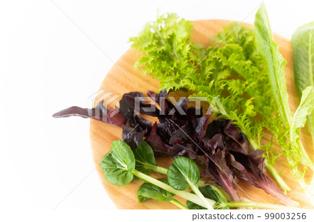 leafy greens for salad 99003256
