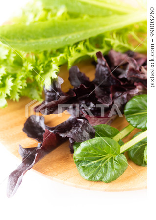 沙拉用的綠葉蔬菜 沙拉用的綠葉蔬菜 99003260