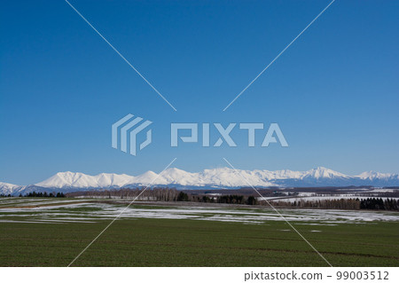 Green fields and snowy mountains where snow remains on sunny spring days Tokachidake mountain range 99003512