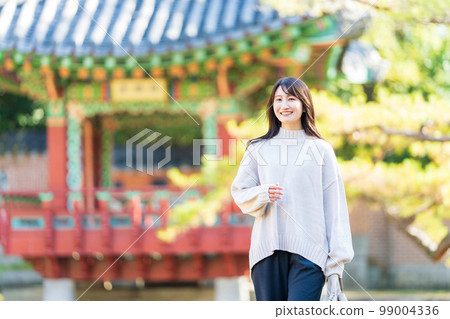 女孩的旅行旅行年輕女人 女孩的旅行旅行年輕女人 99004336