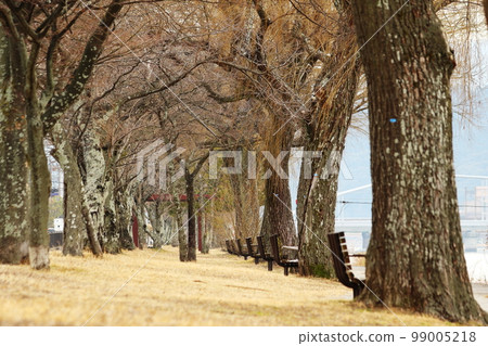 在公園景觀在冬天 99005218