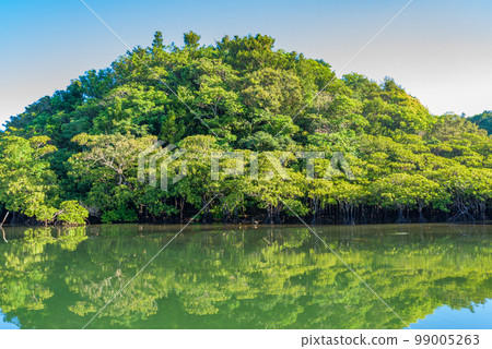 World Natural Heritage "Amami Oshima, Tokunoshima, northern part of Okinawa Island and Iriomote Island" mangrove forest of Nakama River (Iriomote Island) World Natural Heritage "Amami Oshima, Tokunoshima, northern part of Okinawa Island and Iriomote Island" mangrove forest of Nakama River (Iriomote Island) 99005263