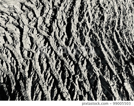 Wood texture pattern 99005503