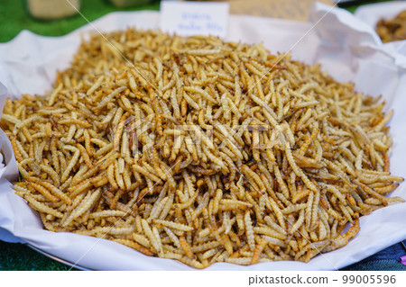 Fried insects mealworms or silk worms for snack, Thai food at market 99005596