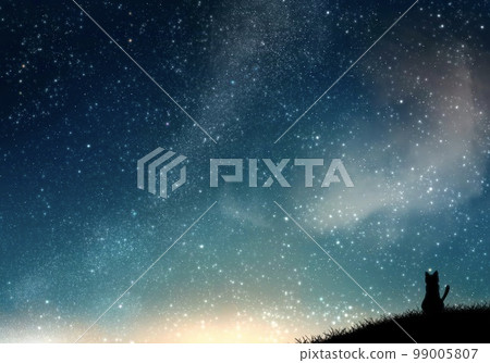 Starry sky and cat 99005807
