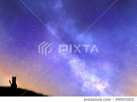 Starry sky and cat Starry sky and cat 99005808