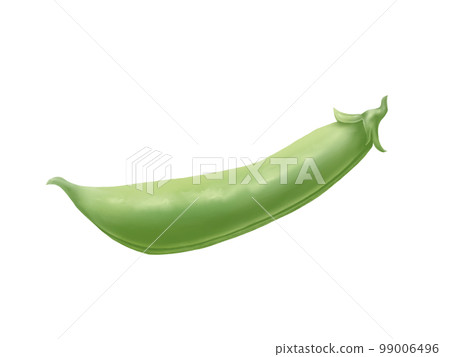 Illustration material of realistic and beautiful snap peas (watercolor) Illustration material of realistic and beautiful snap peas (watercolor) 99006496