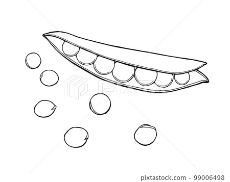 Simple illustration material (line drawing) of snap peas (opened inside and scattered beans) Simple illustration material (line drawing) of snap peas (opened inside and scattered beans) 99006498