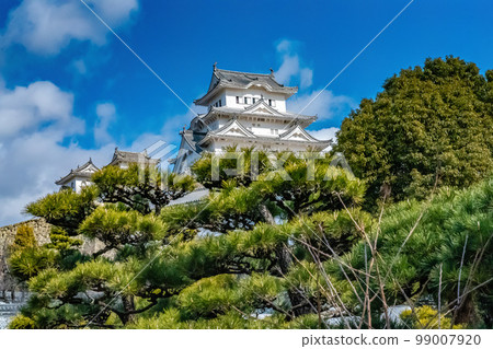 新年姬路城 99007920