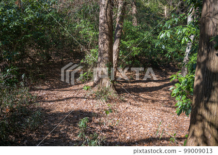 Satoyama trekking Satoyama trekking 99009013