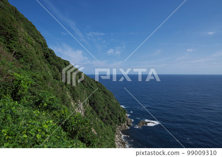 《京都府》晴天的京上崎袖園地風景 99009310
