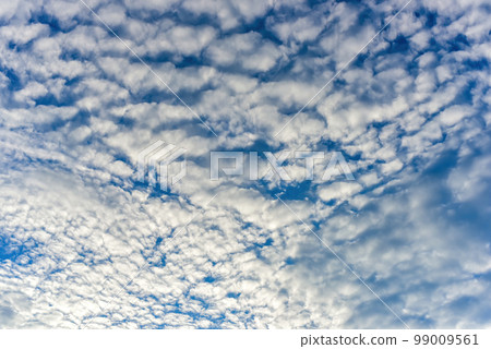 Puffy fluffy white clouds against daytime sky. 99009561