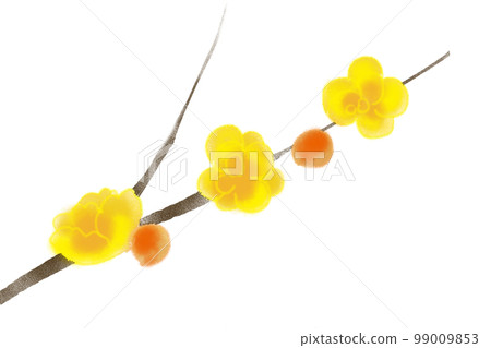 蠟梅枝 蠟梅枝 99009853
