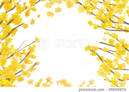 日本五香粉框架 2 日本五香粉框架 2 99009859