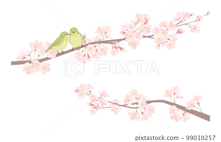 Illustration of a pair of white-eye and cherry blossoms 99010257
