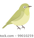 Illustration of a white-eye seen from the side 99010259
